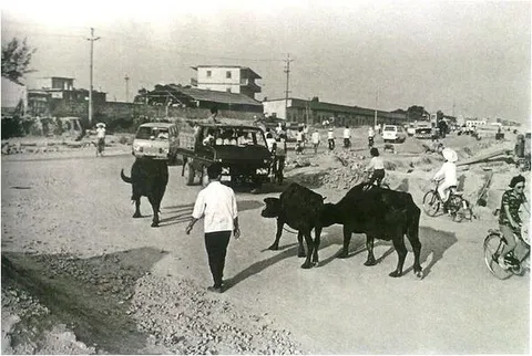 没有贫富差距，就没有经济活力