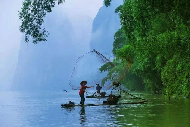 这些鸡汤很毒，但是很醒脑