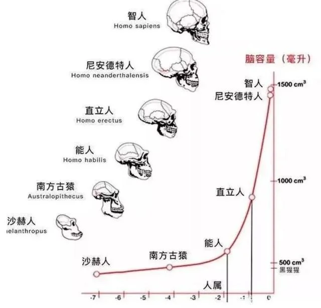 为什么说北京人、元谋人、蓝田人，都不是中国人的祖先？